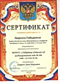 Сертификат лауреата победителя  Всероссийской выставки образовательных учреждений